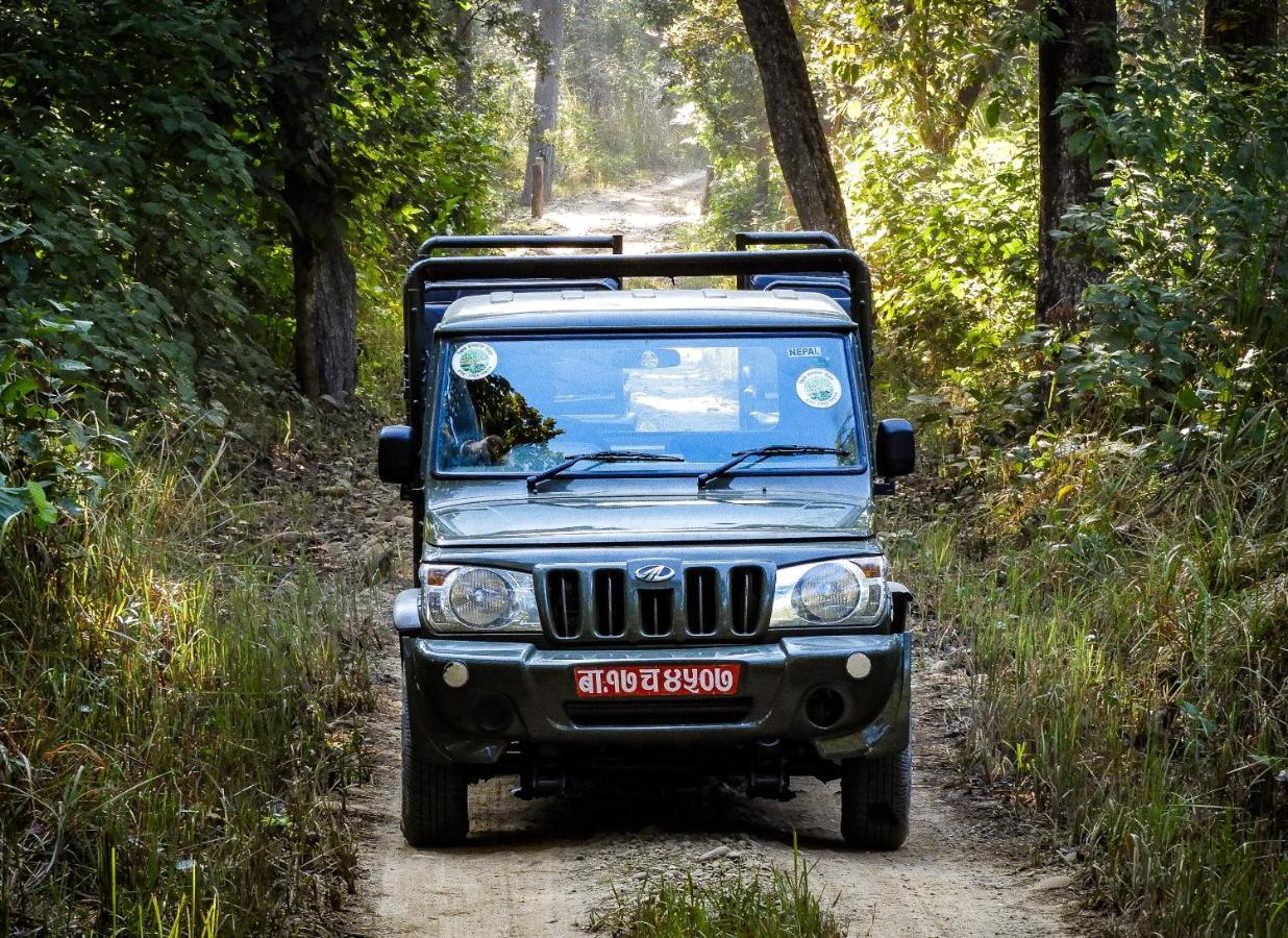 Bardia Wildlife Resort Bardiya Kültér fotó