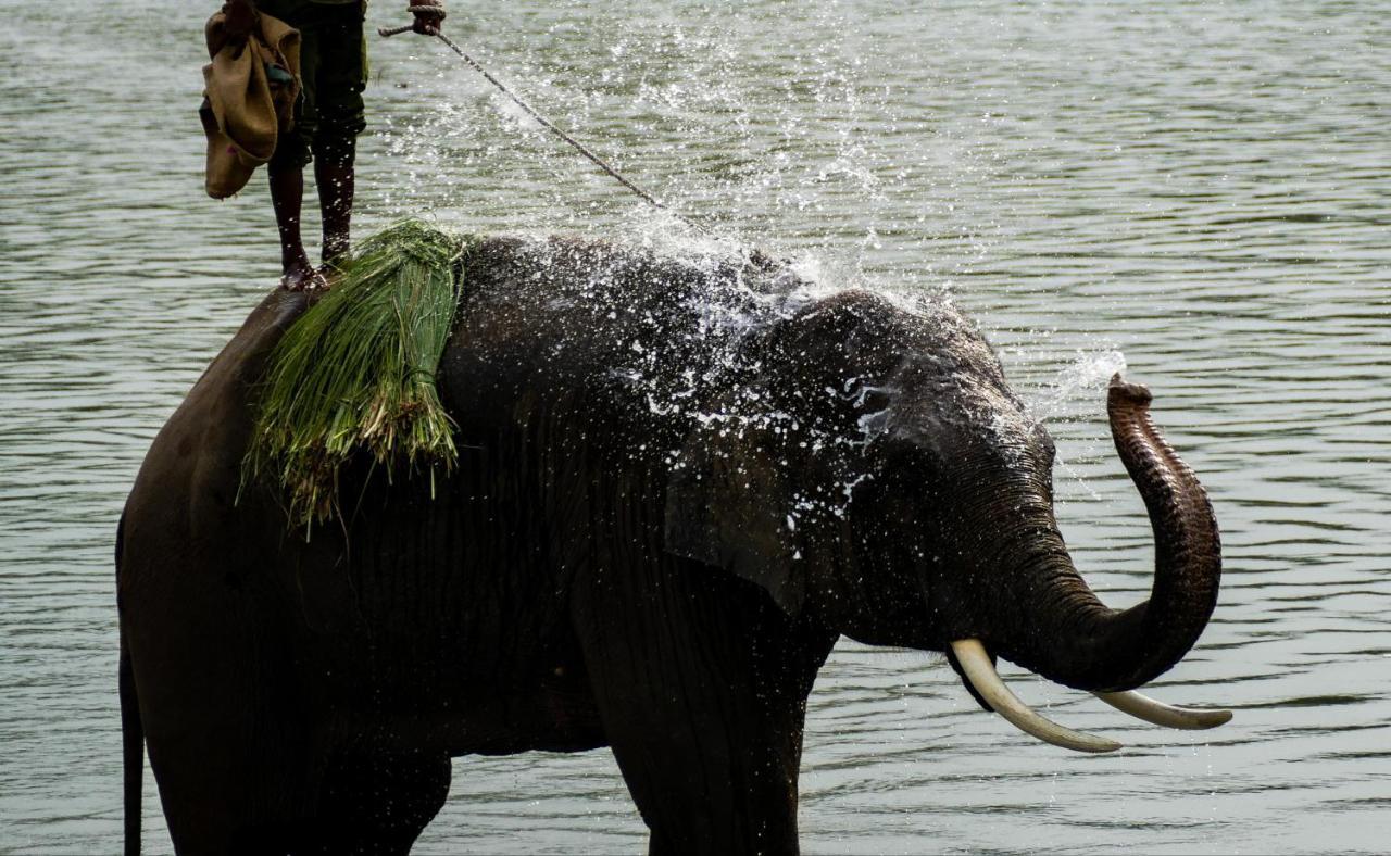 Bardia Wildlife Resort Bardiya Kültér fotó