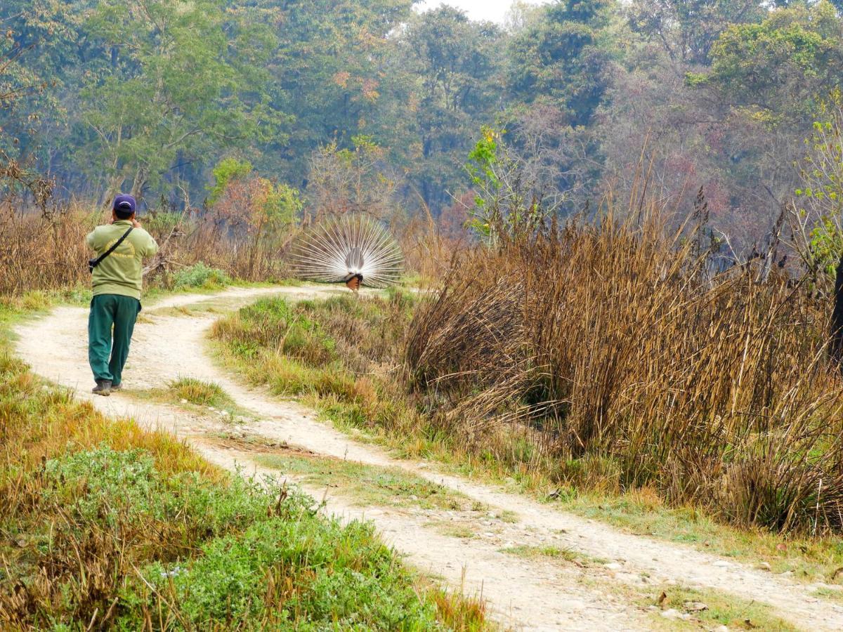 Bardia Wildlife Resort Bardiya Kültér fotó