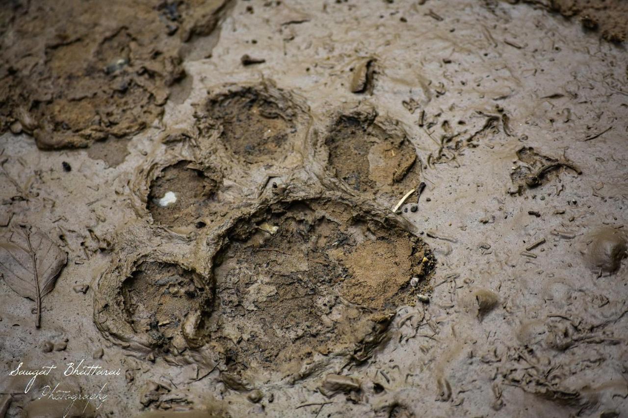 Bardia Wildlife Resort Bardiya Kültér fotó
